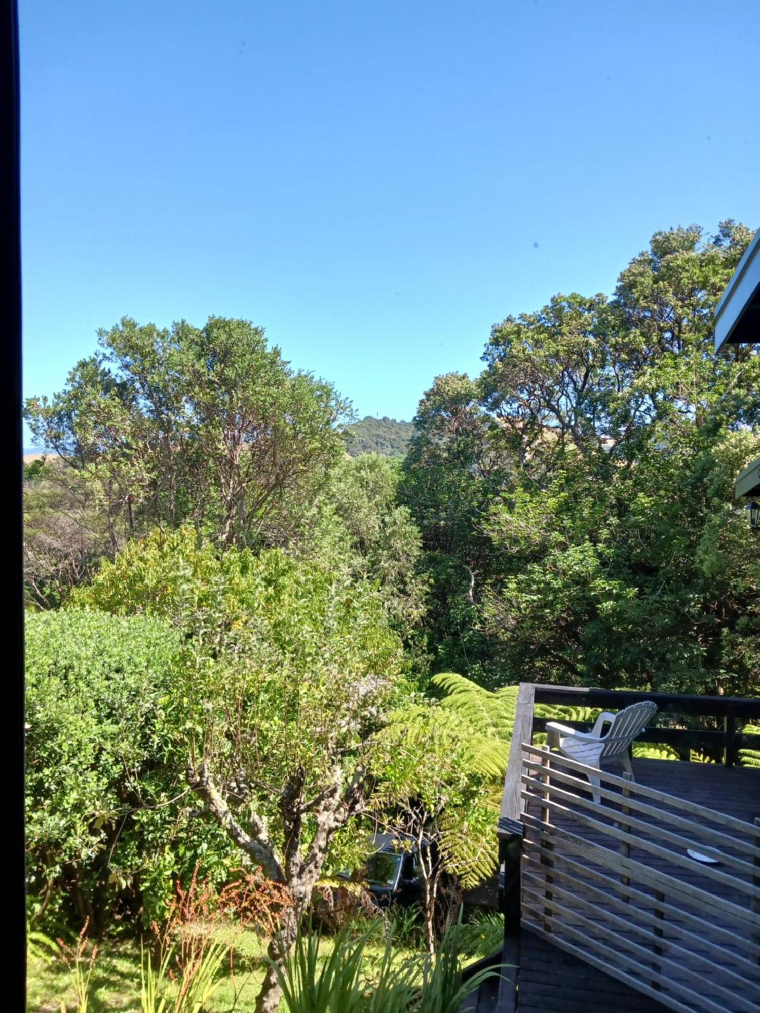 Bed and Breakfast The Annex Whitianga Zewnętrze zdjęcie
